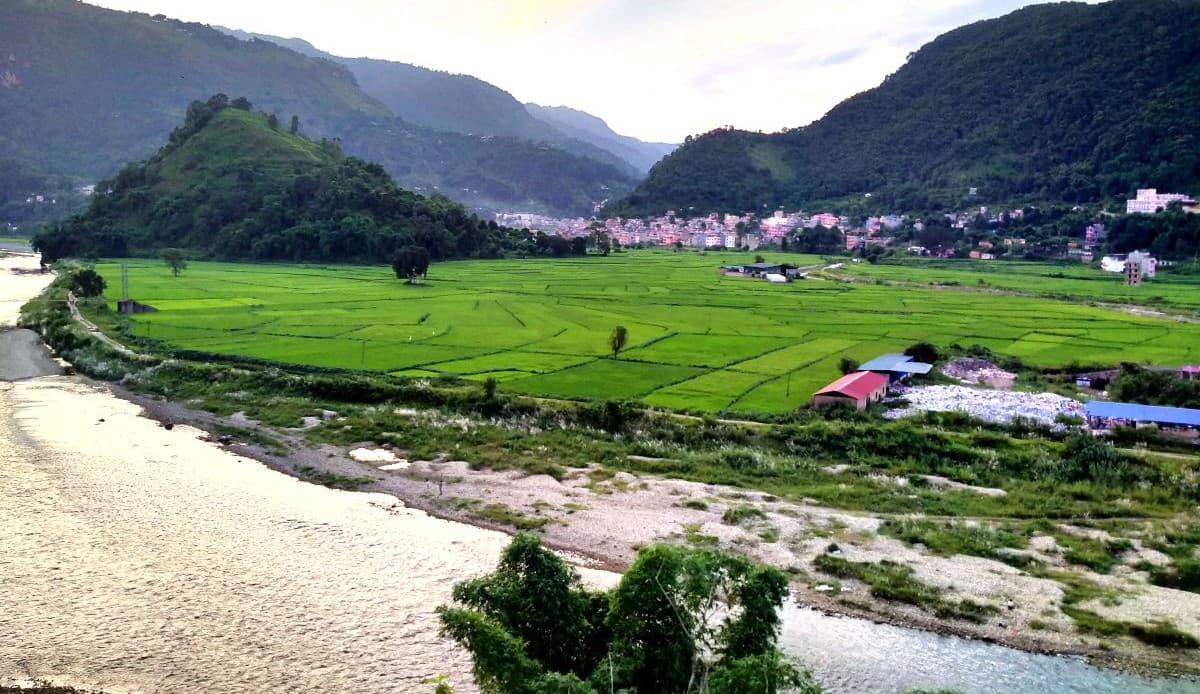 आँधीखोला र धानखेती