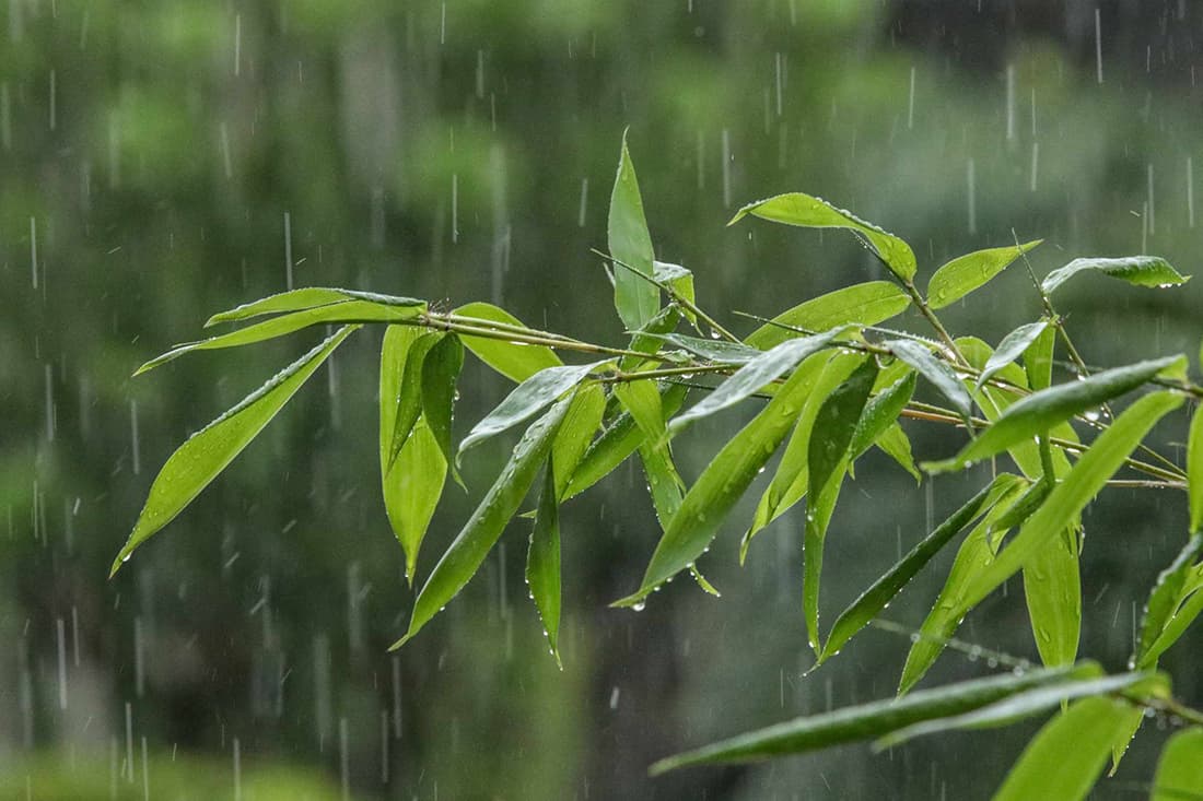 यी भूभागमा थप वर्षाको पूर्वानुमान