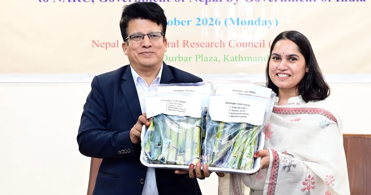 भारतबाट उखुका चार उन्नत जात भित्र्याइयो