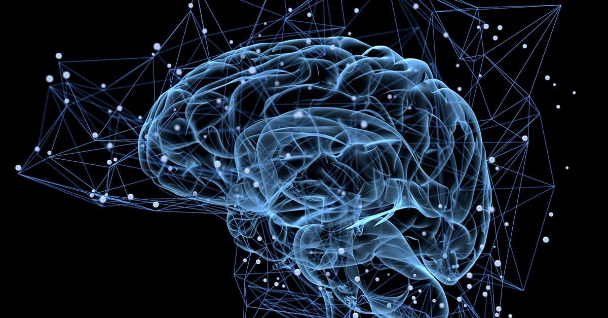 5 things that boost brain function