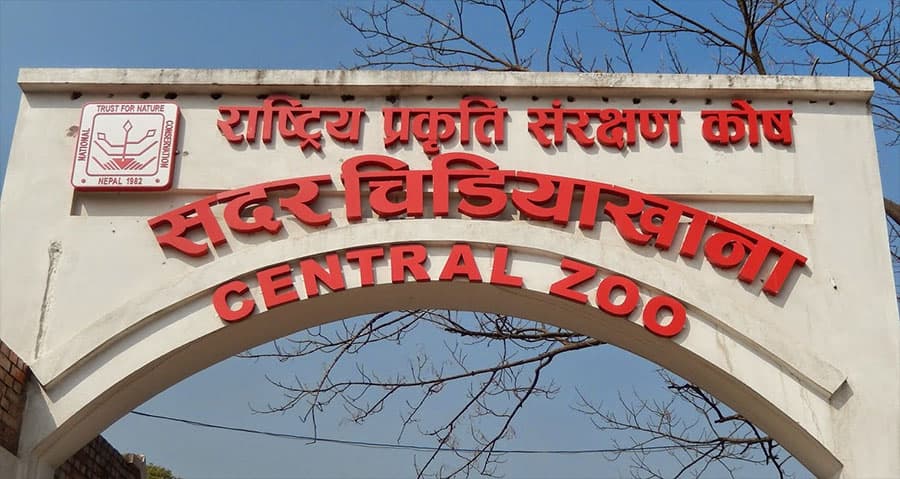 Rs 30 million loss to Central Zoo due to bird flu