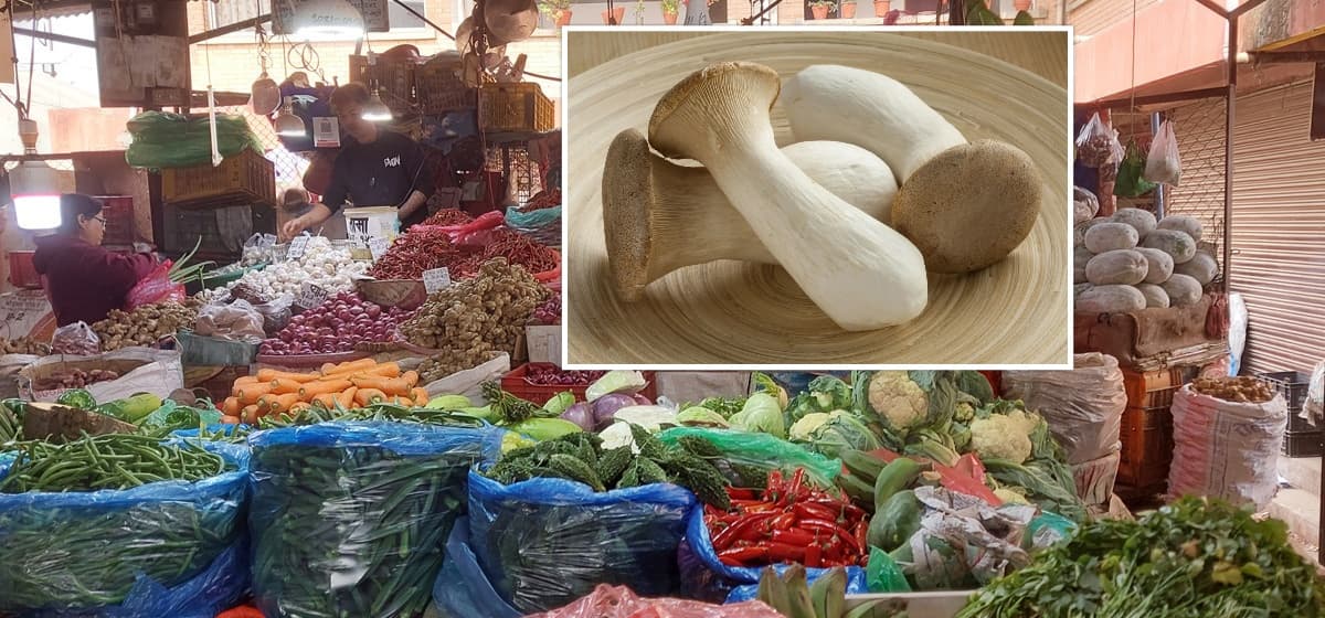 यस्तो छ आजका लागि कृषिउपजको थोक मूल्य
