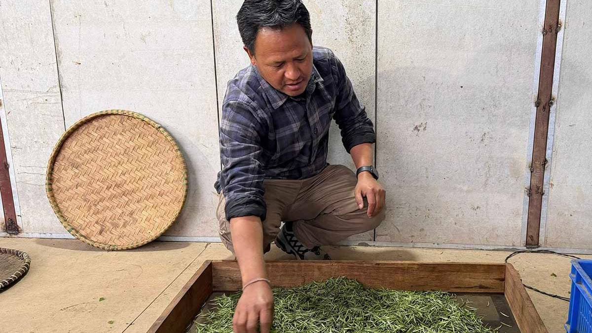 ‘ब्रान्ड’ बन्दै ‘जस्बिरे चिया’