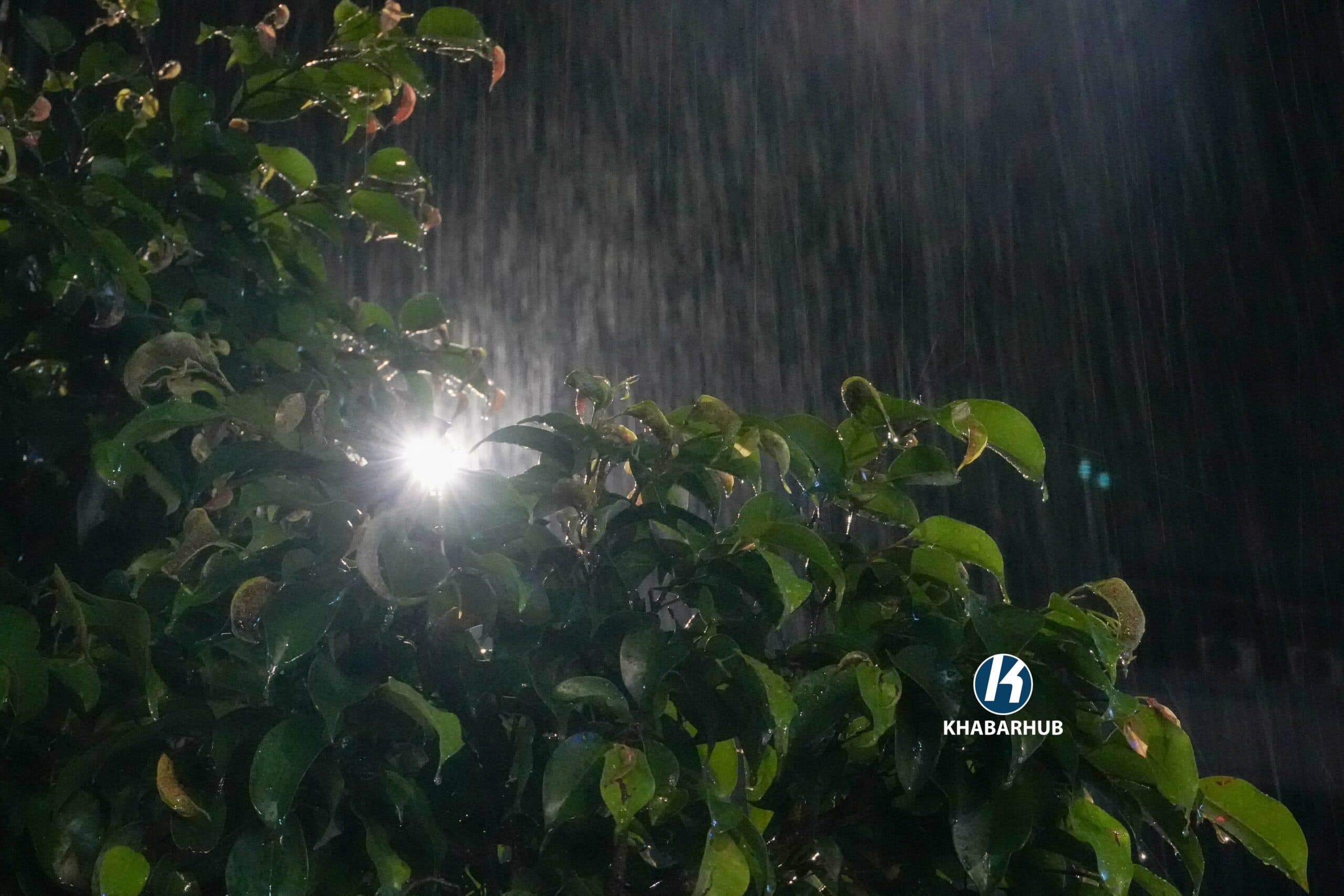 काठमाडौंसहित देशका विभिन्न क्षेत्रमा वर्षा