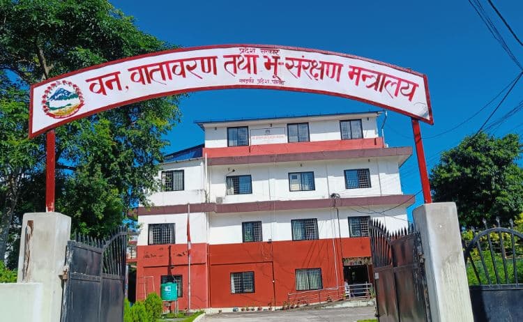 गण्डकीमा यसपालि डढेलोका घटना न्यून