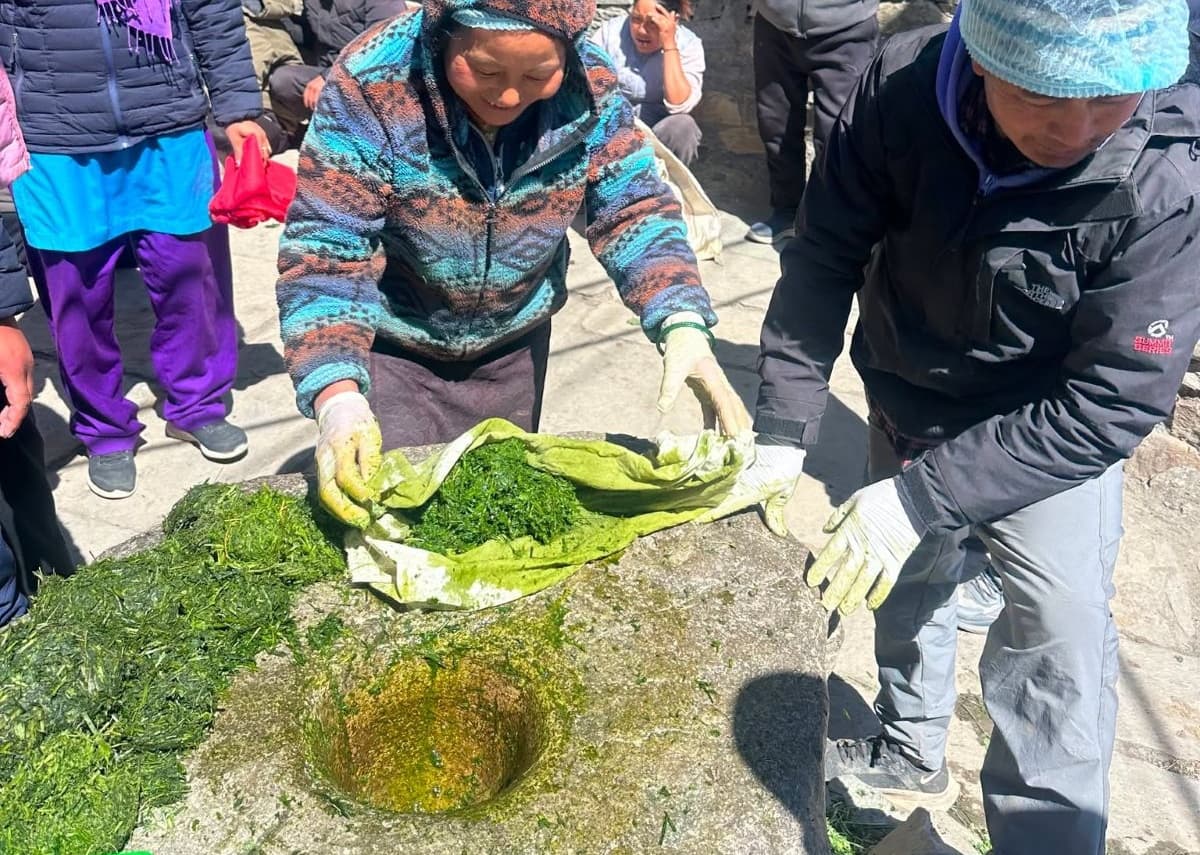 विषादीको विकल्पमा ‘जैविक झोल’को प्रयोग