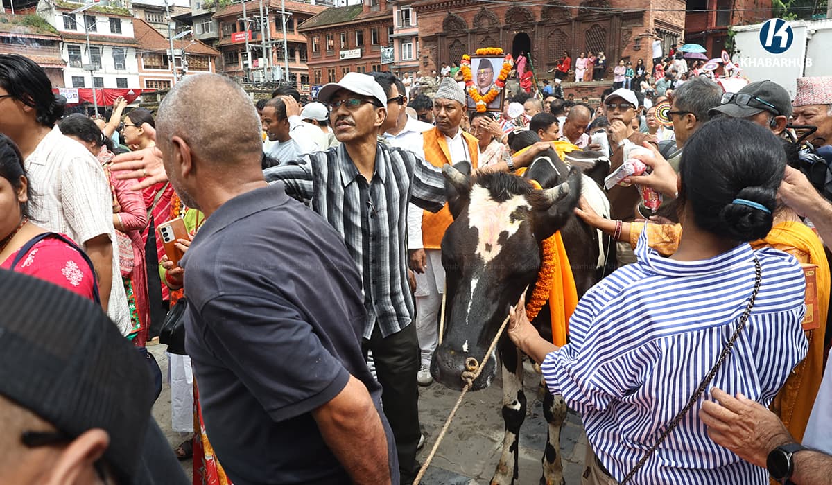 काठमाडौँ उपत्यकामा गाईजात्राको रौनक (तस्बिरहरू)