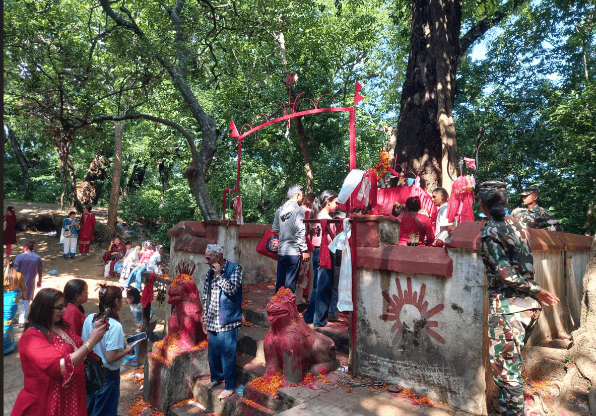गोकर्ण जङ्गलको वनदेवीमा दर्शनार्थीको लाम