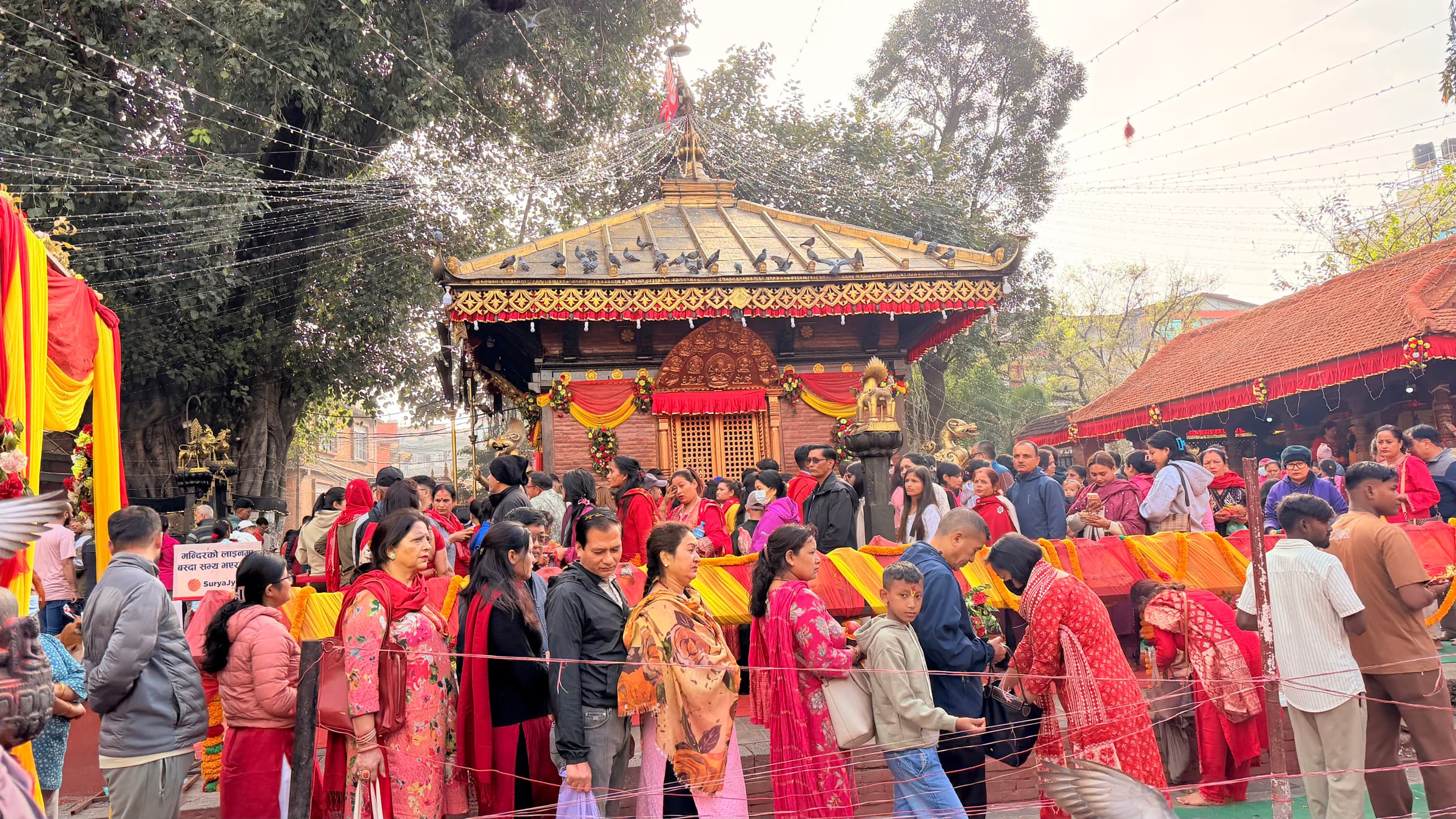 नवरात्रको नवौँ दिन : शक्तिपीठमा भक्तजनको घुइँचो