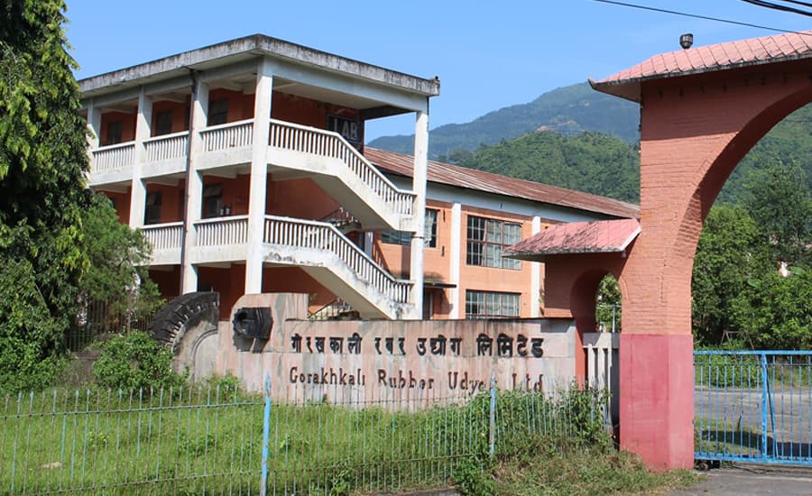 फेरि चलाउन सकिने अवस्थामा गोरखकाली रबर उद्योग, सुझाइयो ३ विकल्प