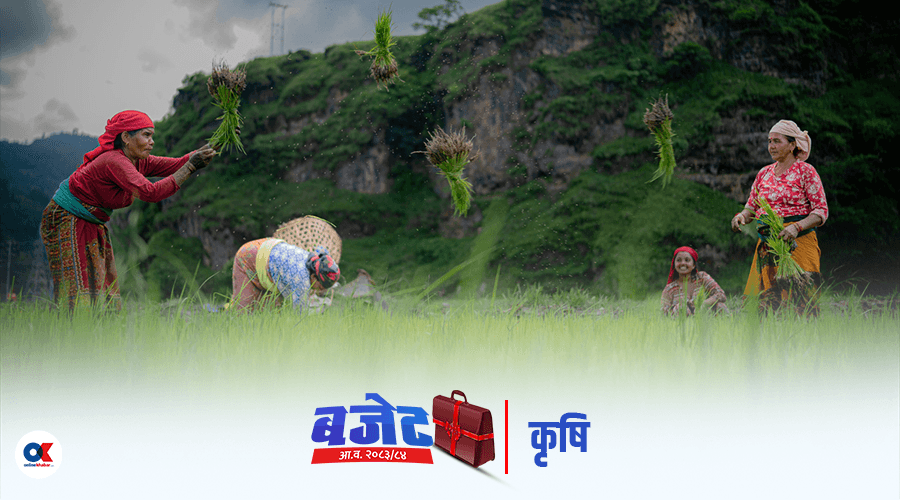 कृषि बजेट सीमा घट्यो, के चाहन्छन् किसान ?