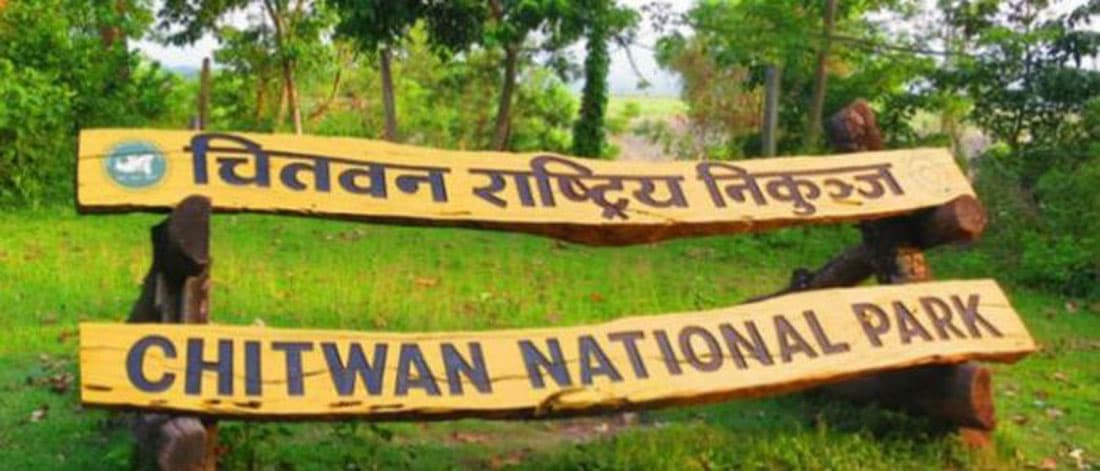 ध्रुवे हात्ती नियन्त्रणका लागि चौबीसै घण्टा अनुगमन, मृतक परिवारलाई राहत