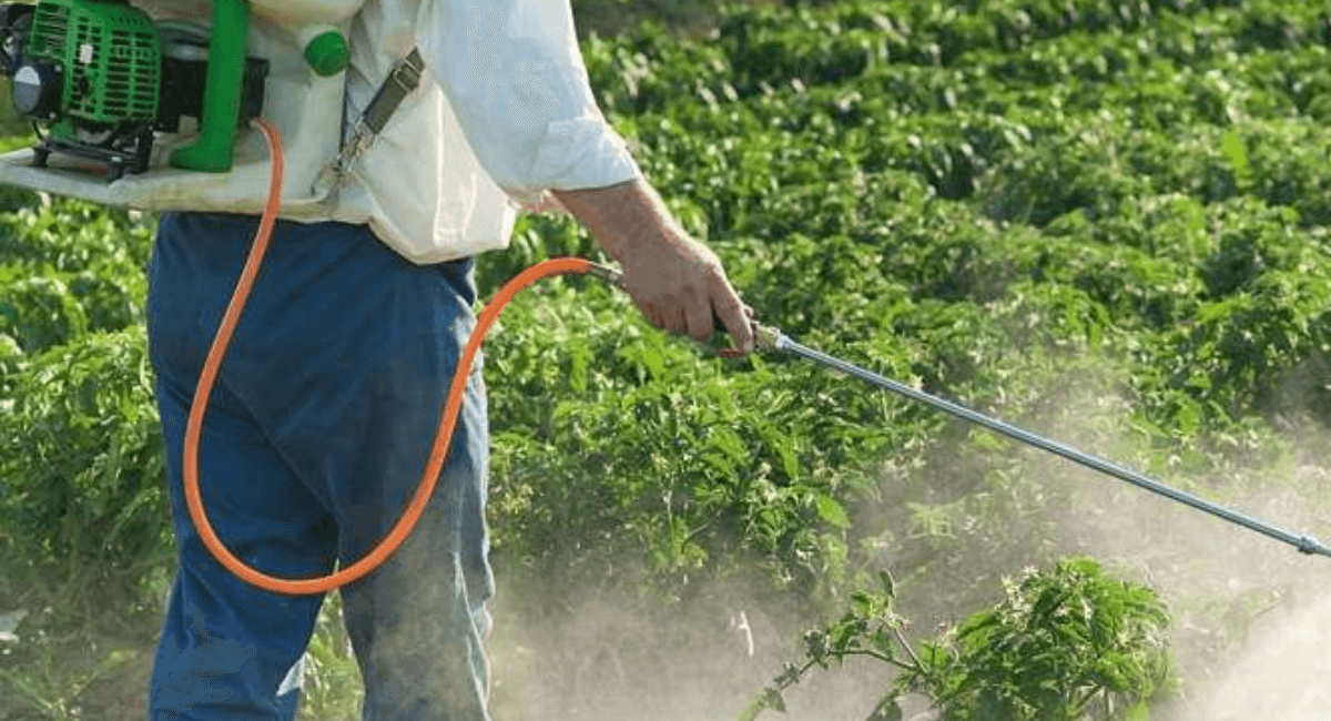 तरकारी उत्पादनमा विषादी प्रयोग न्युनीकरण नगर्दा स्वास्थ्य समस्या बढ्दो