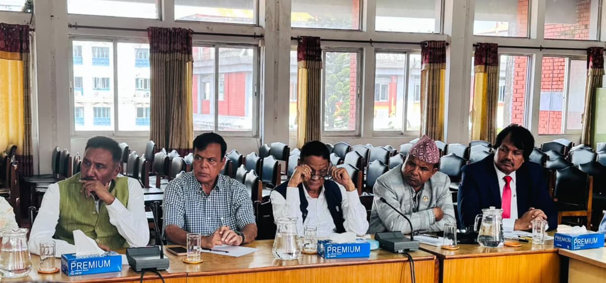 सिंहदरबारले स्थानीय तहलाई पूर्ण अधिकार दिन सकेन : सीके राउत