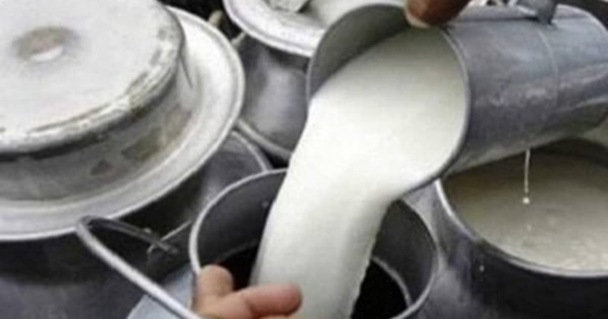 मेहनत र लगानी अनुसारको मूल्य पाउँदैनन् दुग्ध किसान