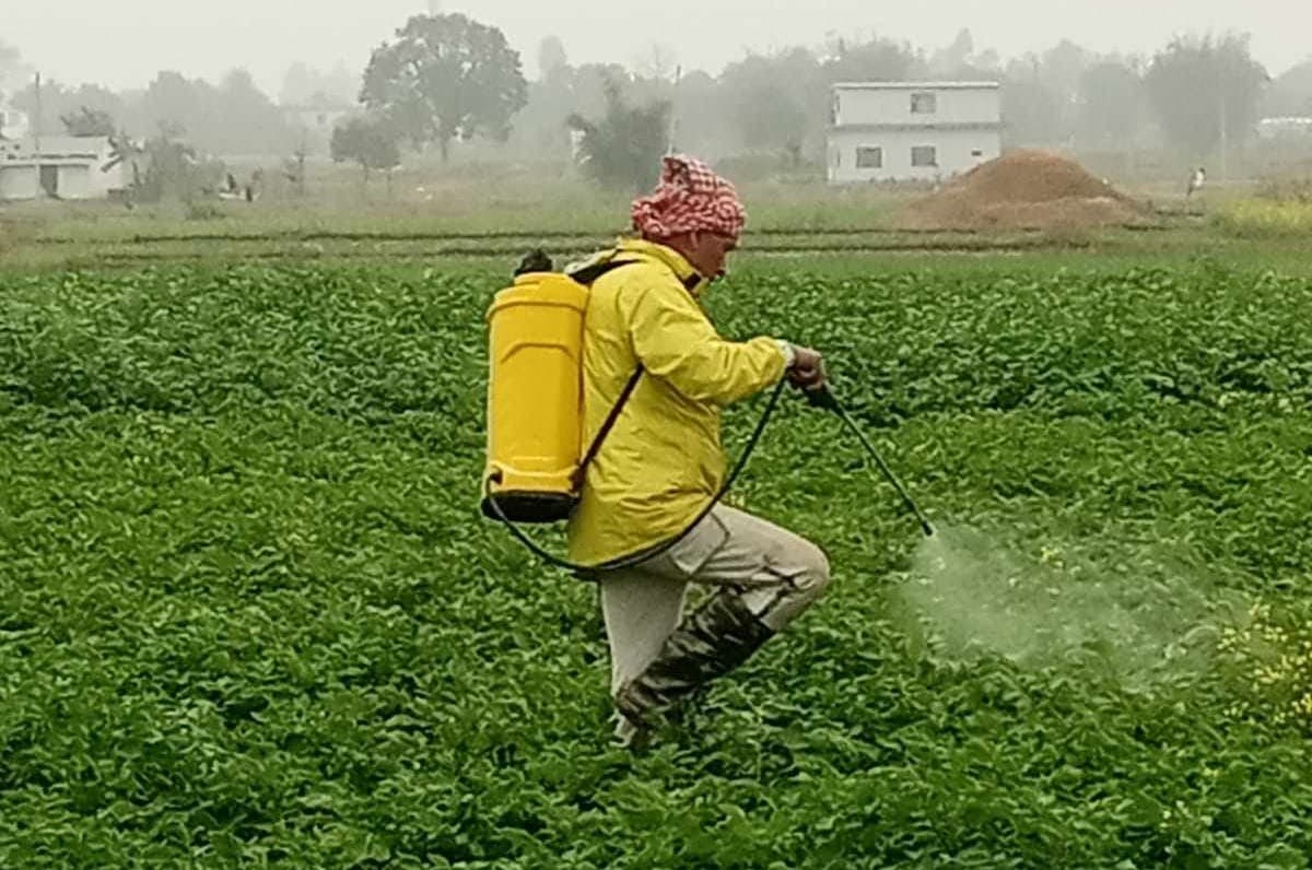 घातक विषादी नियन्त्रणमा कडाइ गर्न स्थानीय तहलाई अनुरोध