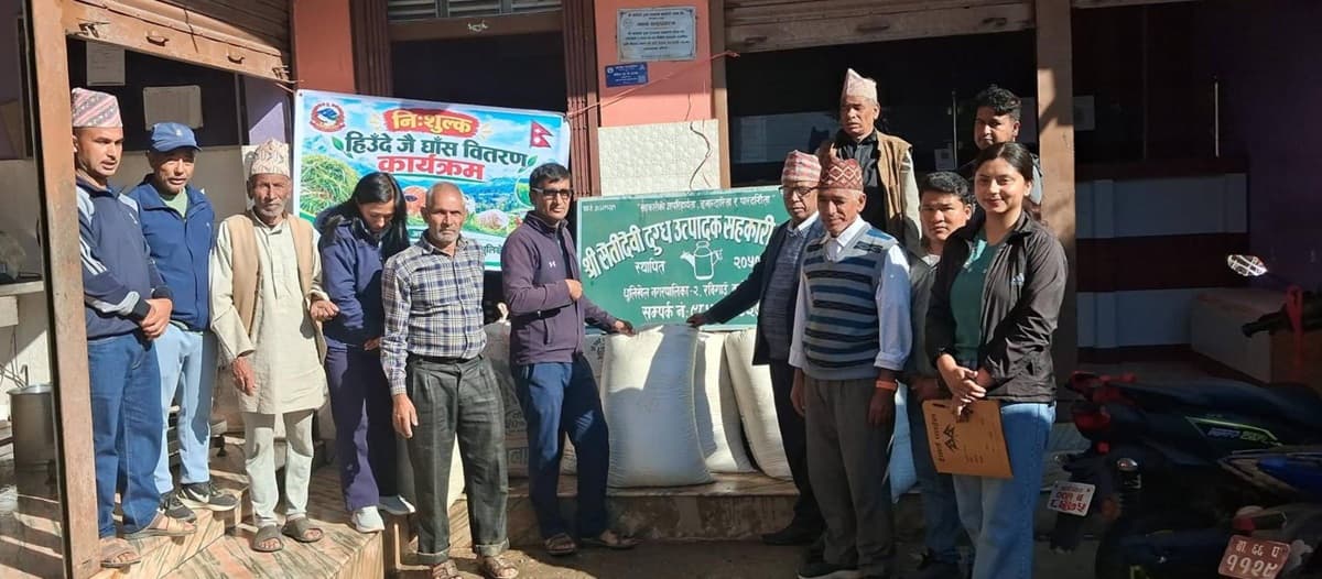 किसानलाई जै घाँसको बीउ वितरण, पशुलाई पोषणयुक्त आहारा हुने