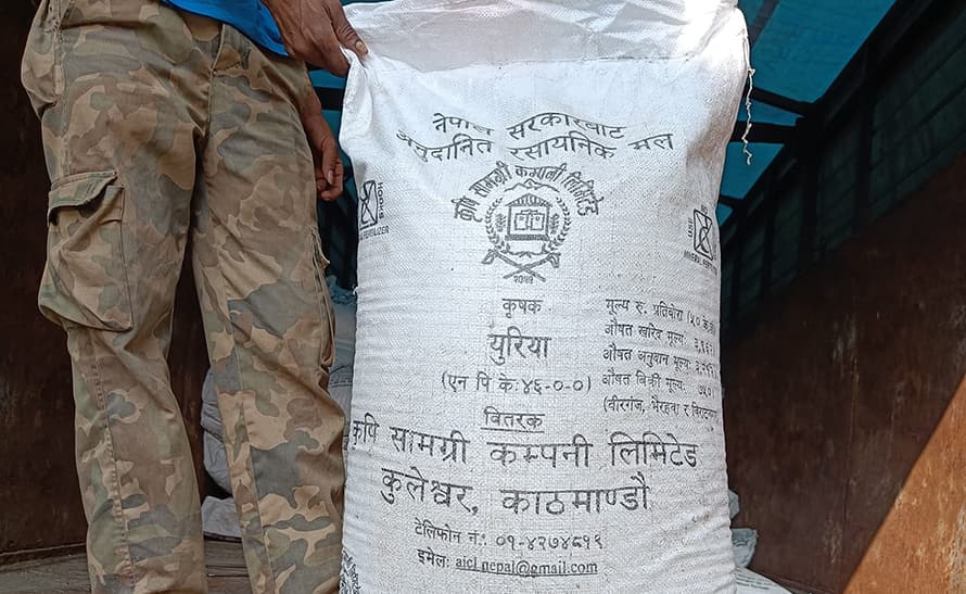 बर्खे बालीलाई मल अभाव नहुने सरकारको दाबी, कति छ मौज्दात ?