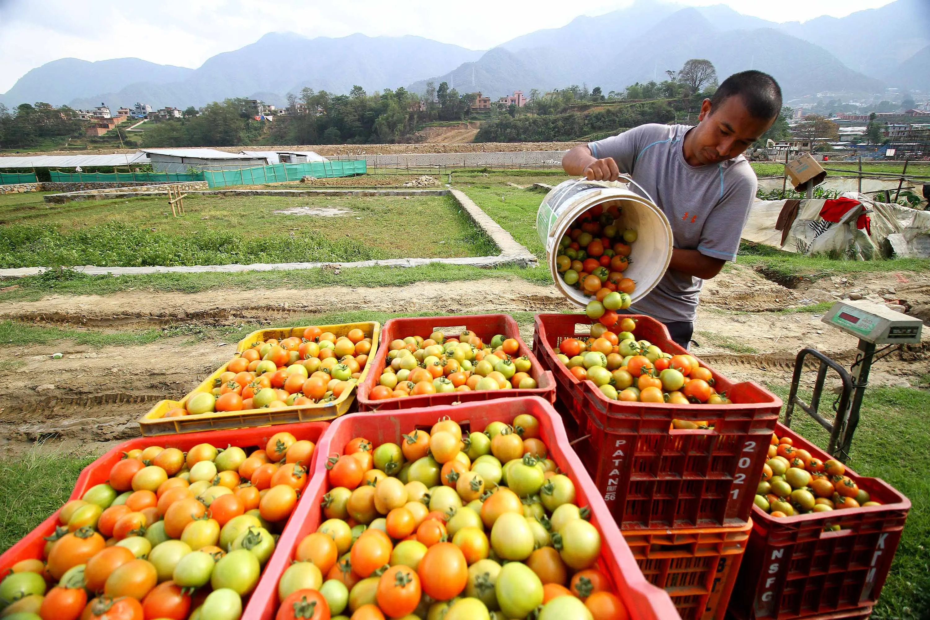 Farmers transporting vegetables in Nepal